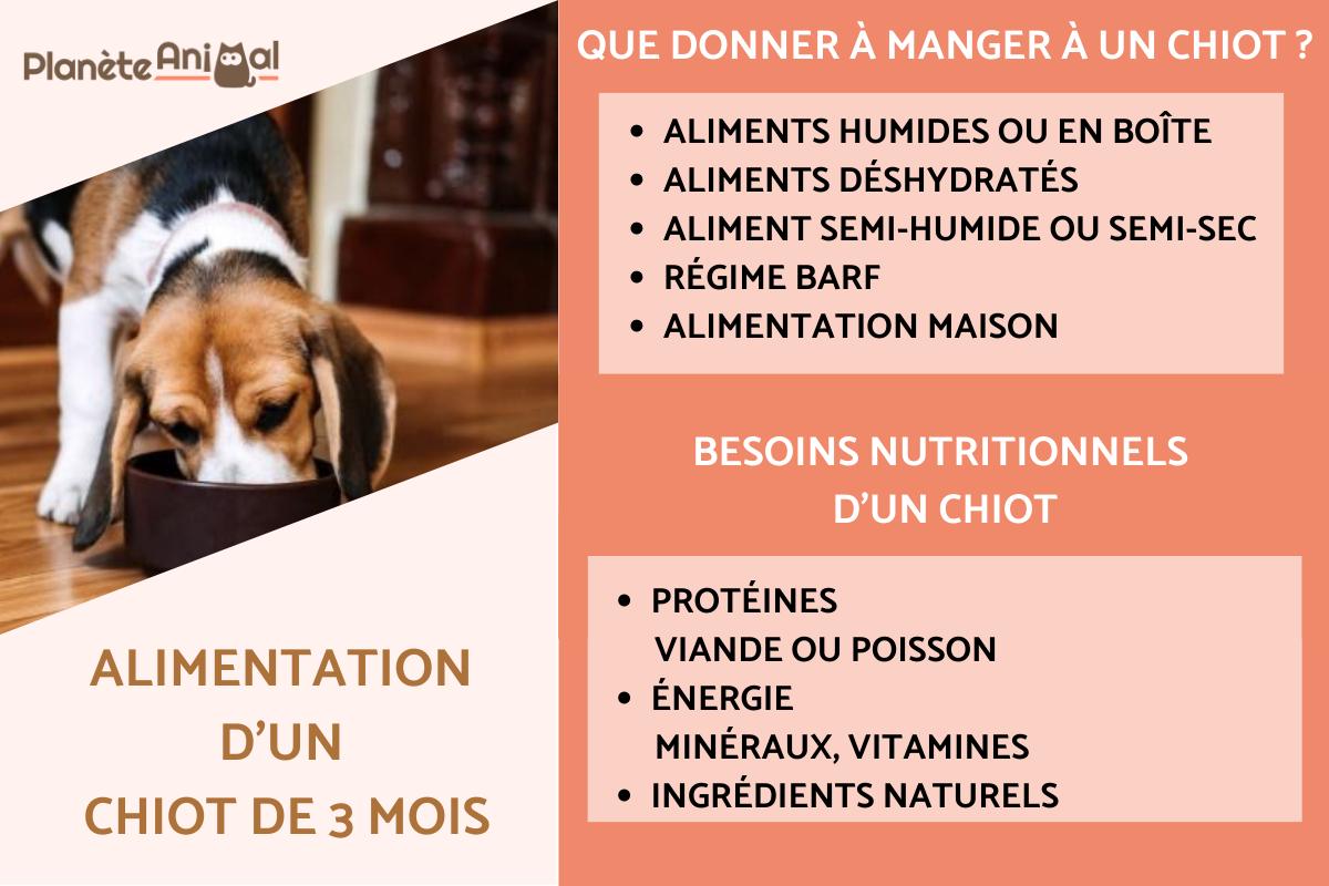 Que donner à manger à un chiot de 3 mois