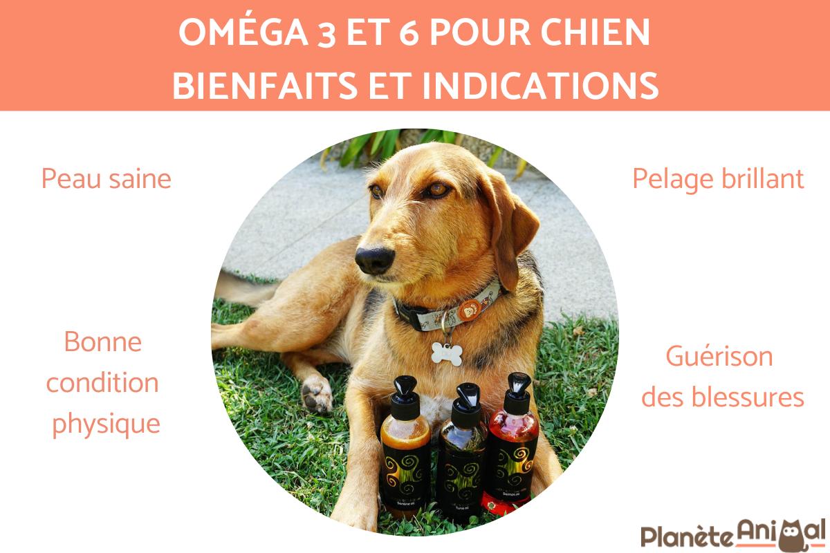Oméga 3 et 6 pour chien - bienfaits et indications