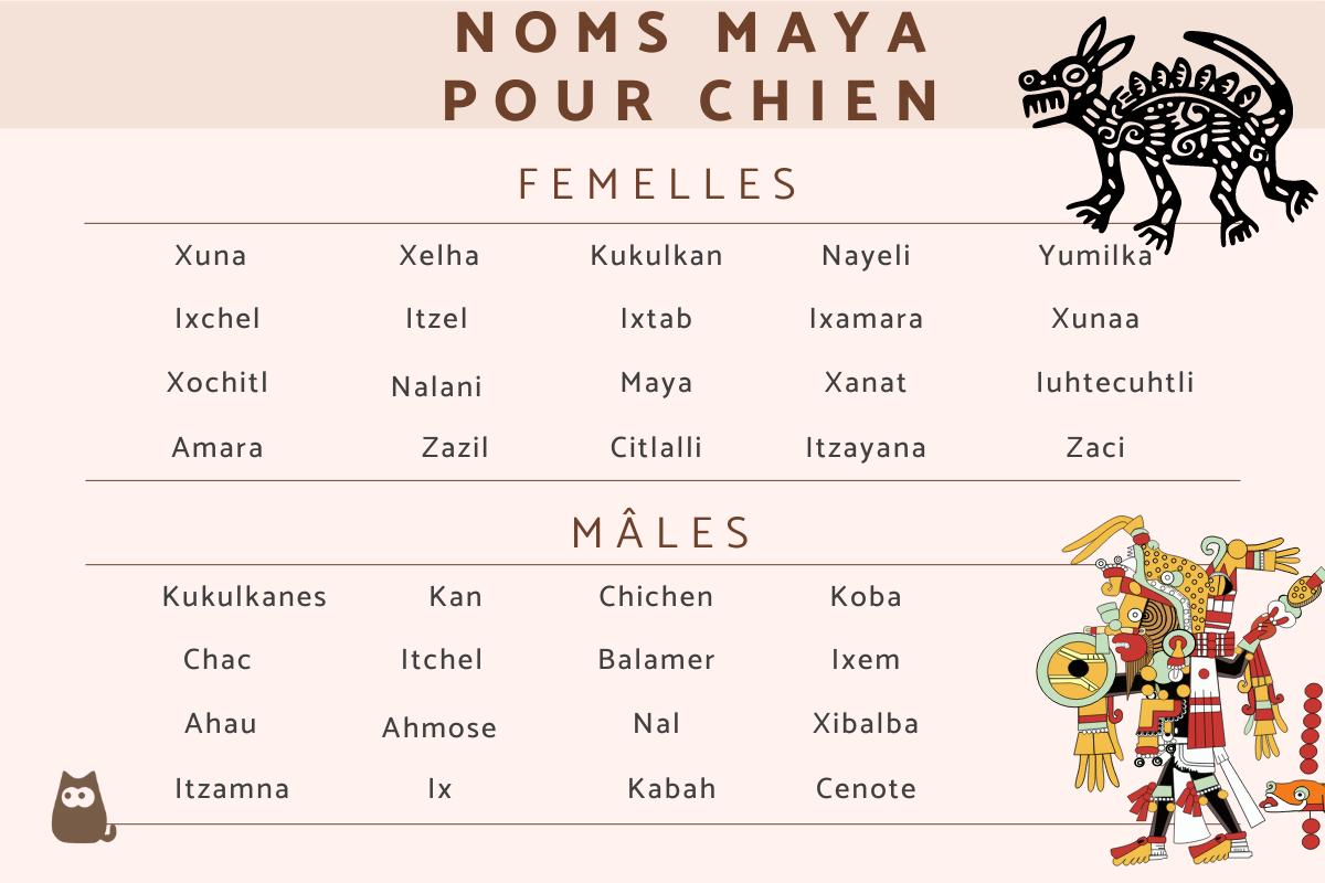 Noms Mayas pour chien