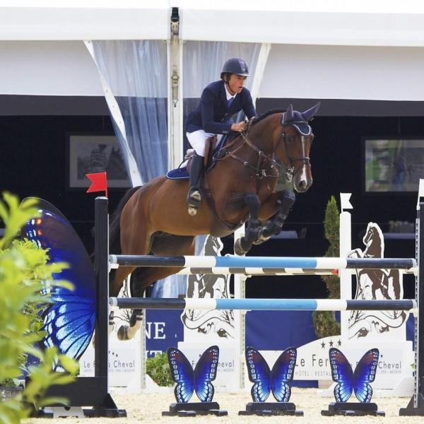 Meilleurs chevaux pour le saut d'obstacles