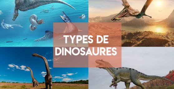 Types de dinosaures - Caractéristiques, Noms et photos