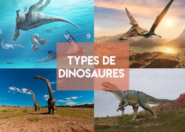 Types de dinosaures - Caractéristiques, Noms et photos