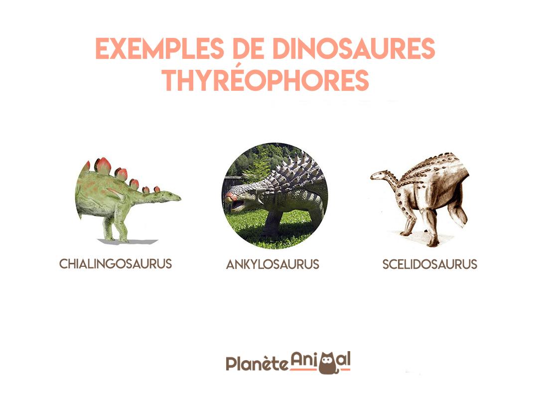 Types de dinosaures Caractéristiques, Noms et photos — free download