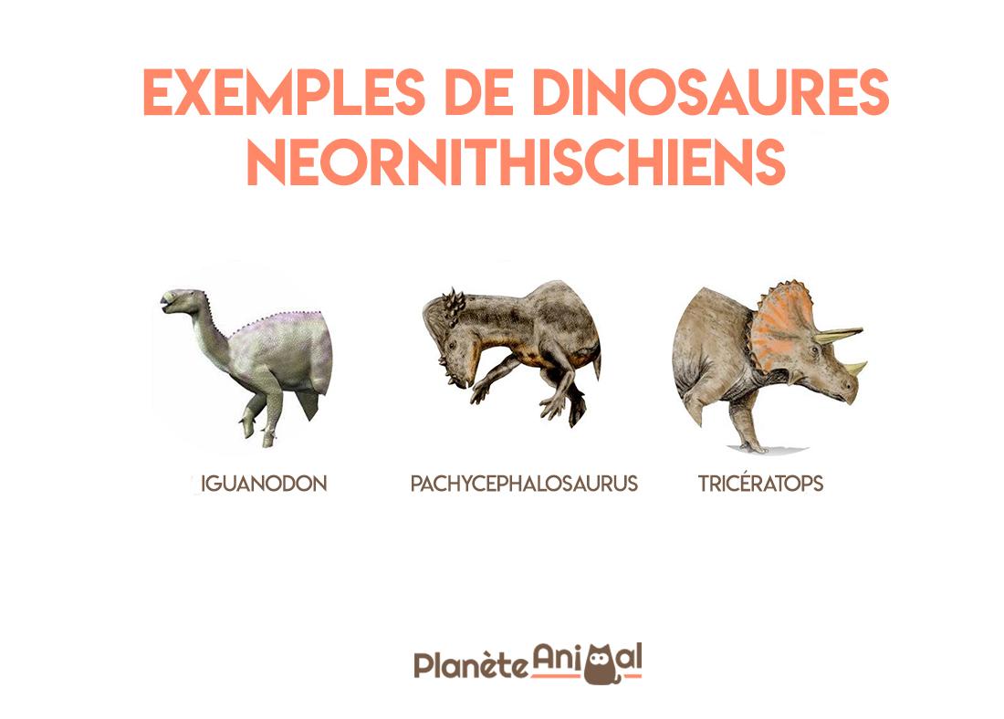 Types de dinosaures Caractéristiques, Noms et photos — free download
