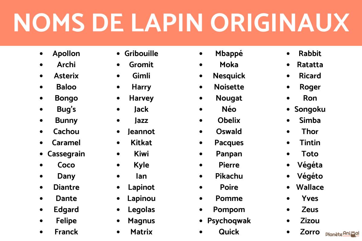 +150 NOMS ORIGINAUX pour LAPIN