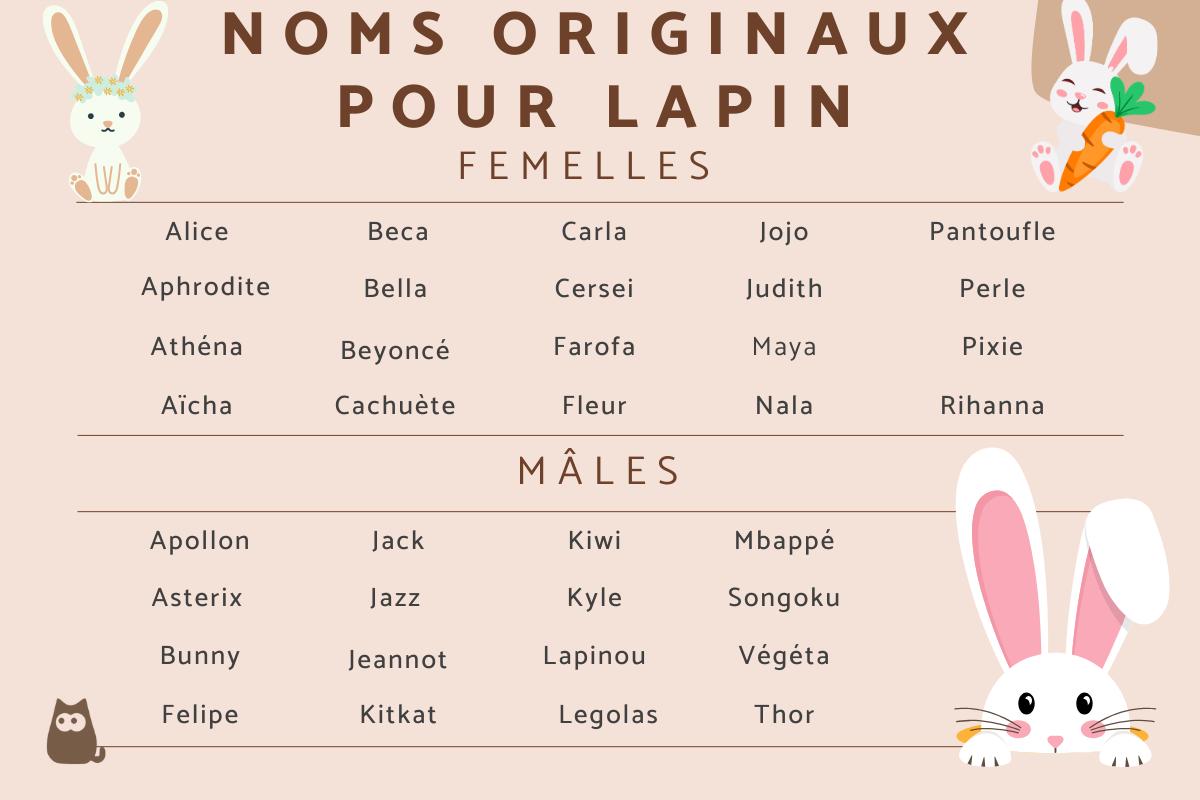 +150 NOMS ORIGINAUX pour LAPIN
