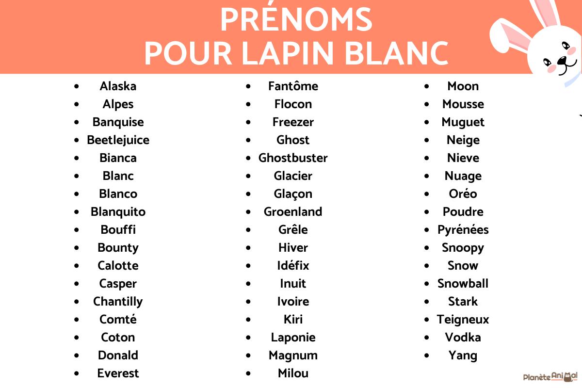 +150 NOMS ORIGINAUX pour LAPIN