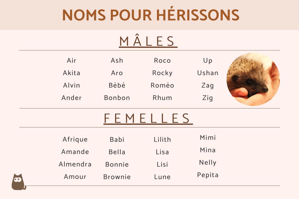 Noms pour hérissons
