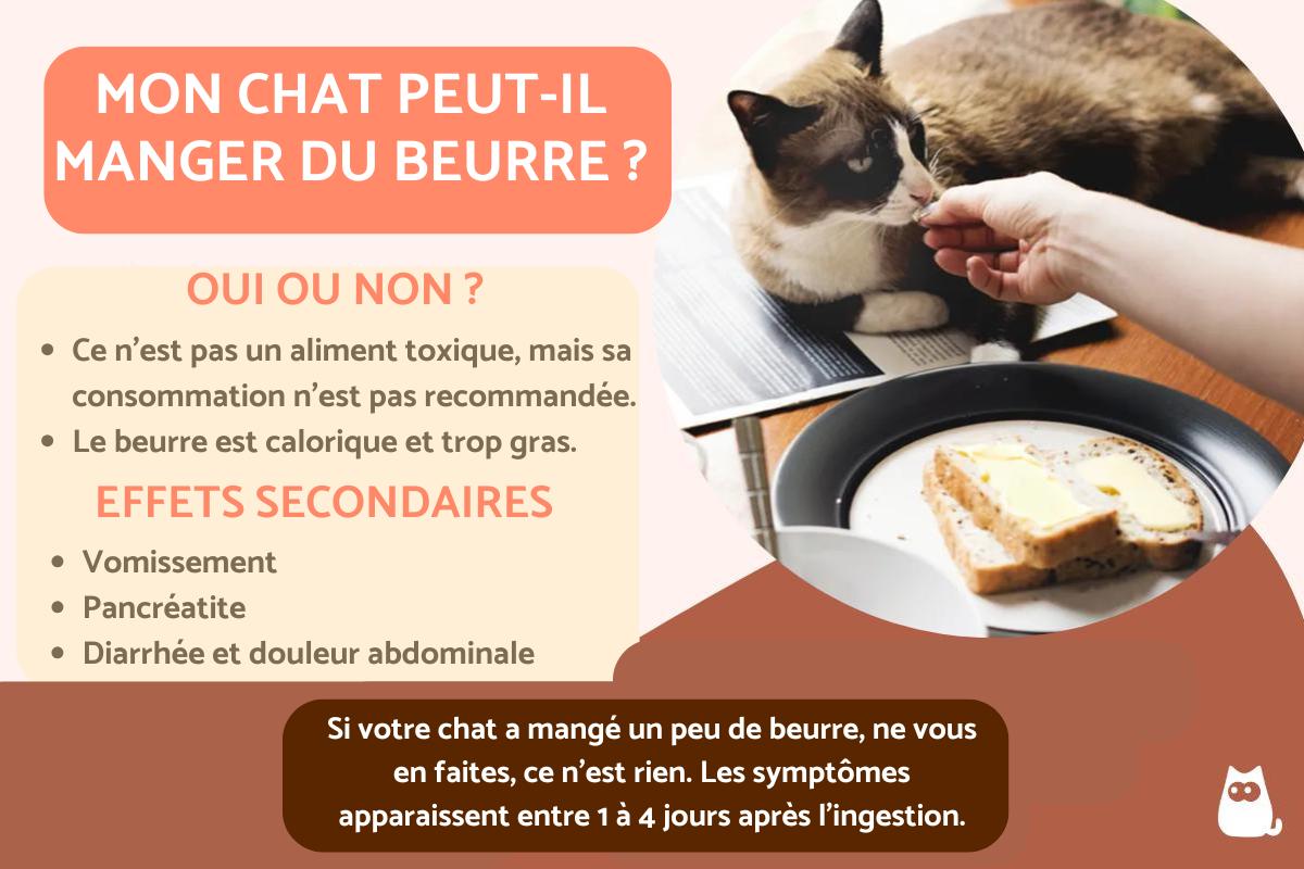Mon chat peut-il manger du beurre ?