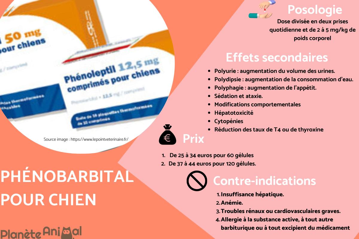 Phénobarbital pour chien Dosage, effets secondaires et prix