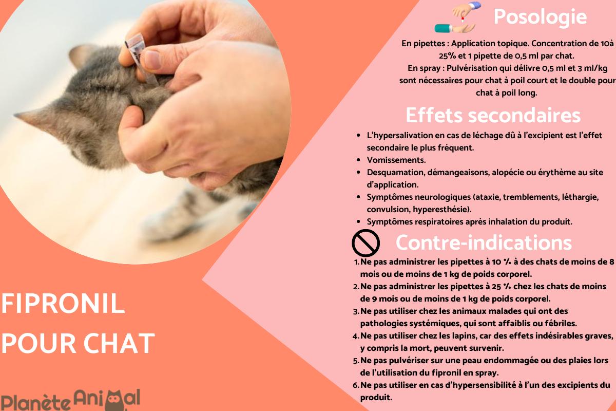 Fipronil pour chat - Usage, posologie, effets secondaires