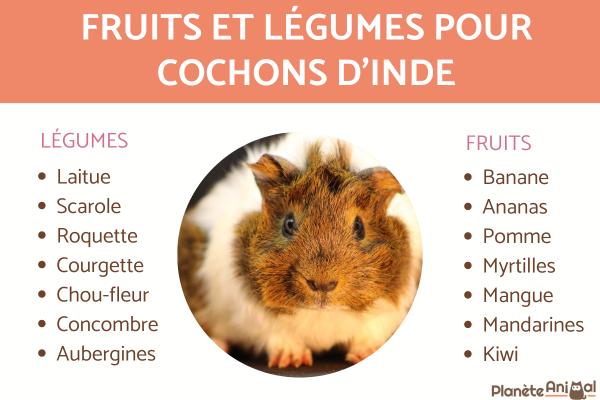 Les fruits et légumes pour cochons d'Inde