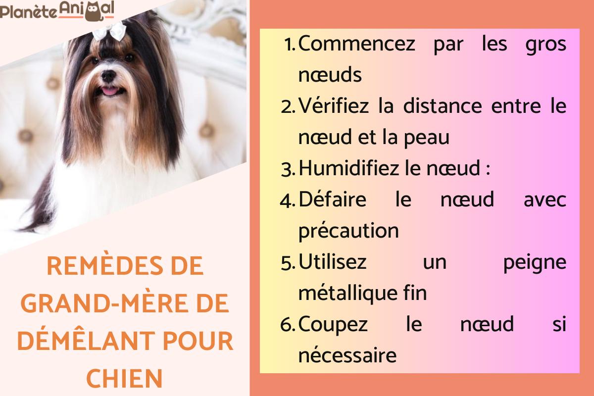 Remèdes de grand-mère de démêlant pour chien