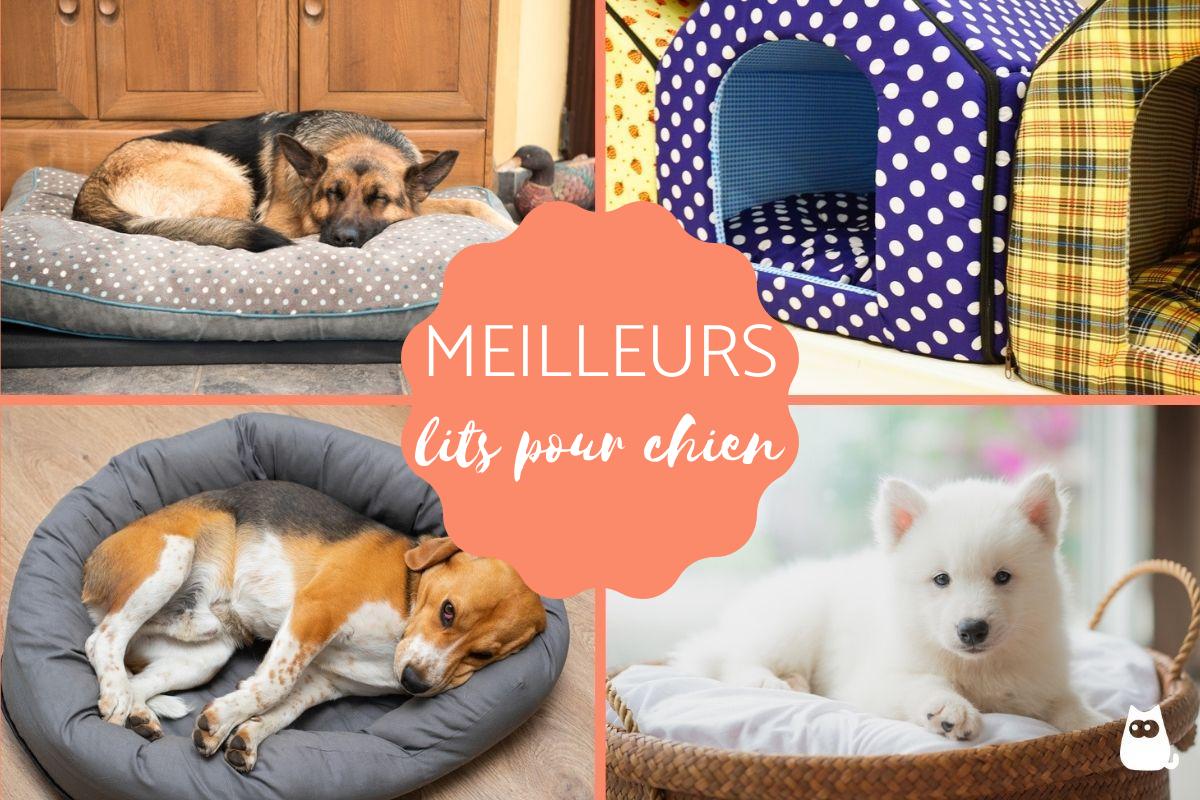 Les meilleurs paniers pour chien