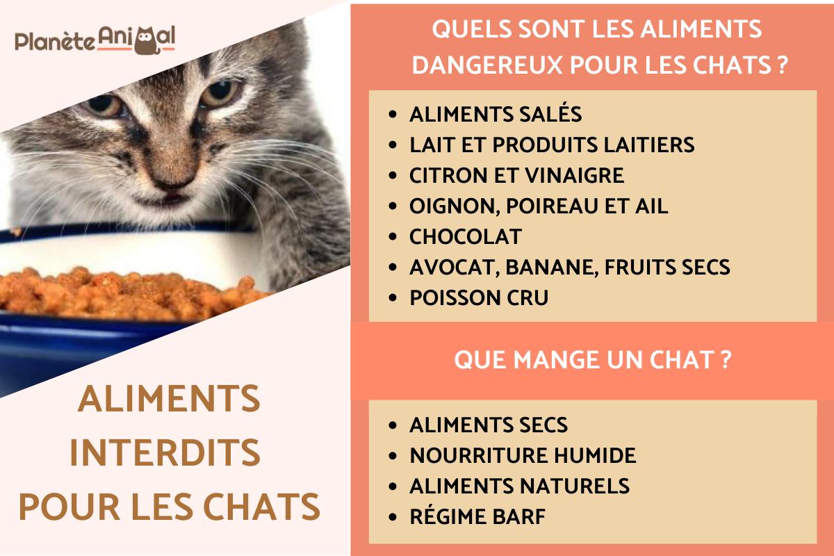 Aliments interdits pour les chats