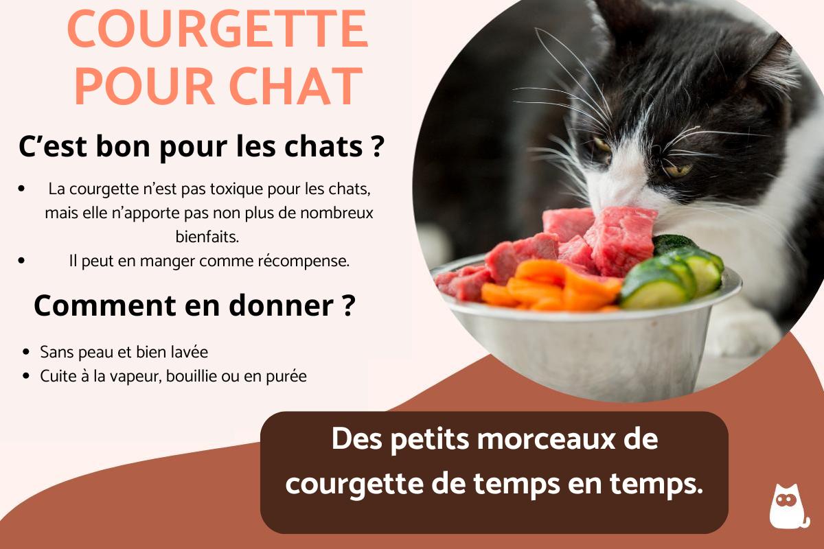 Peut-on donner des courgettes à un chat ?