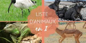 Animal commençant par I - En français et en anglais