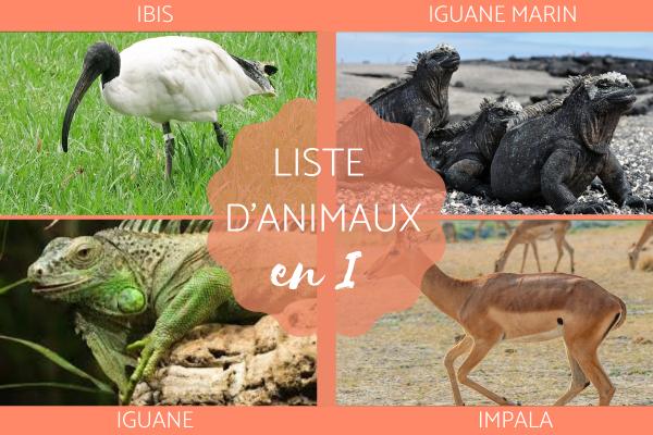 Animal commençant par I - En français et en anglais