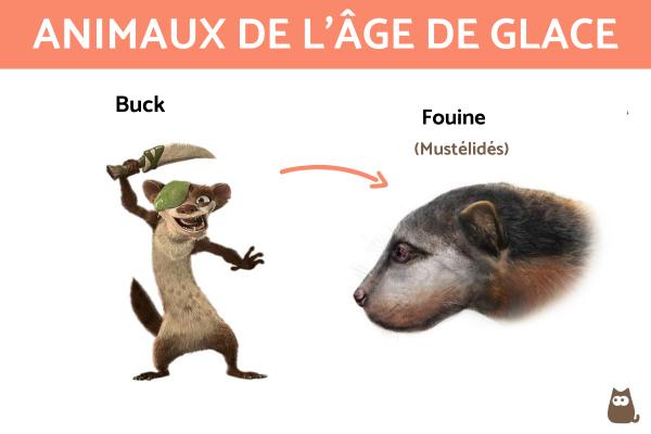 Animaux de l'Âge de glace - Buck : Fouine