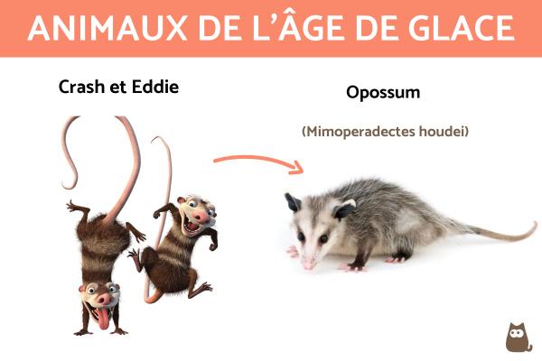 Animaux de l'Âge de glace - Crash et Eddie : opossum