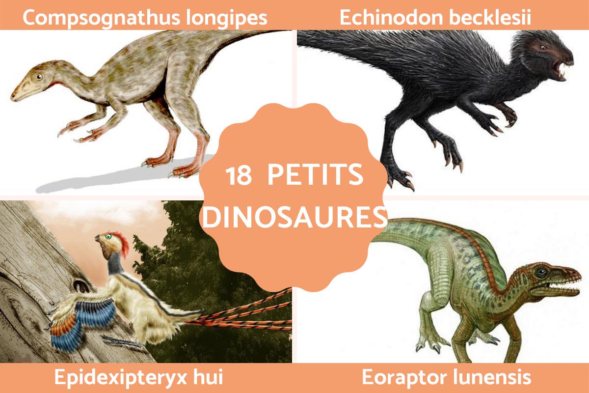 Petit dinosaure - 18 espèces avec photos