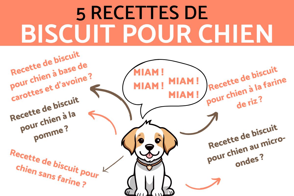 Biscuit pour chien - 5 recettes faciles