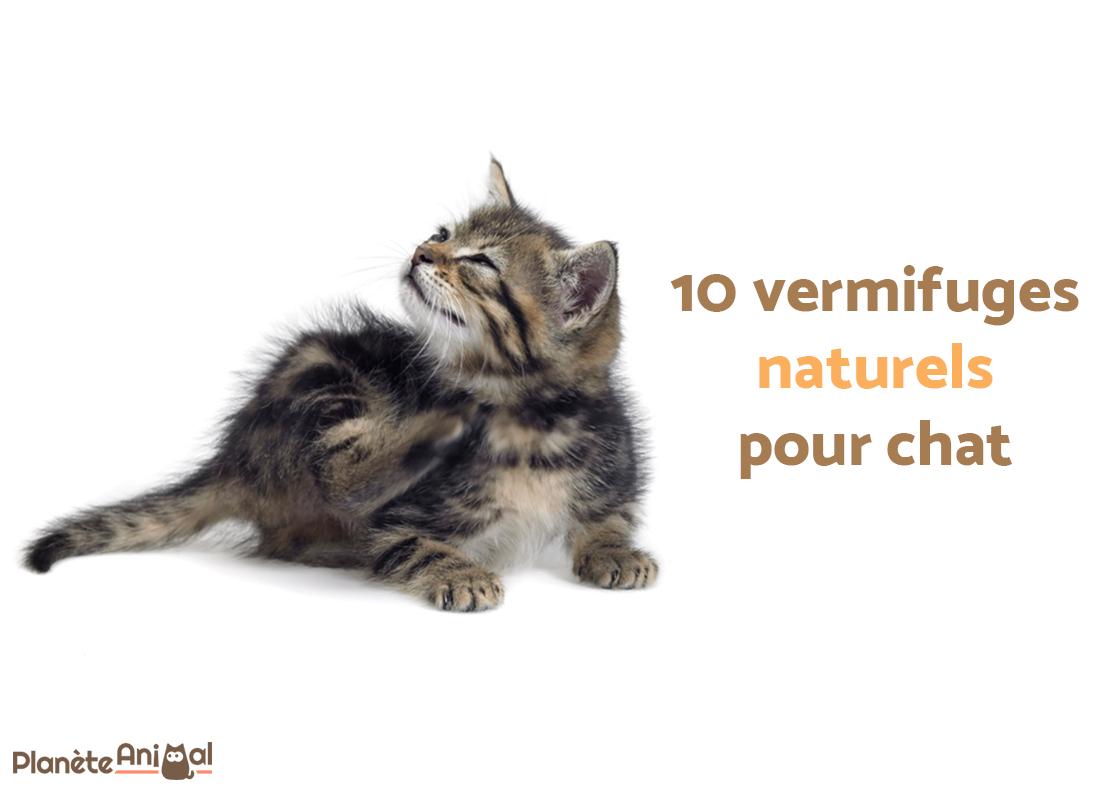 Vermifuge naturel pour chat - TOP 10