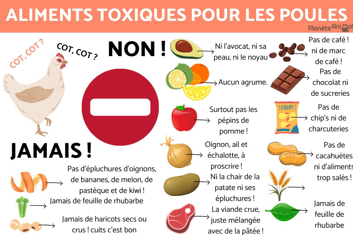 Aliments toxiques pour les poules