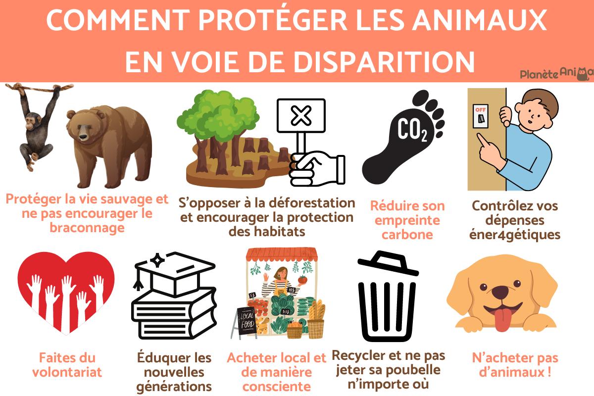 Comment protéger les animaux en voie de disparition