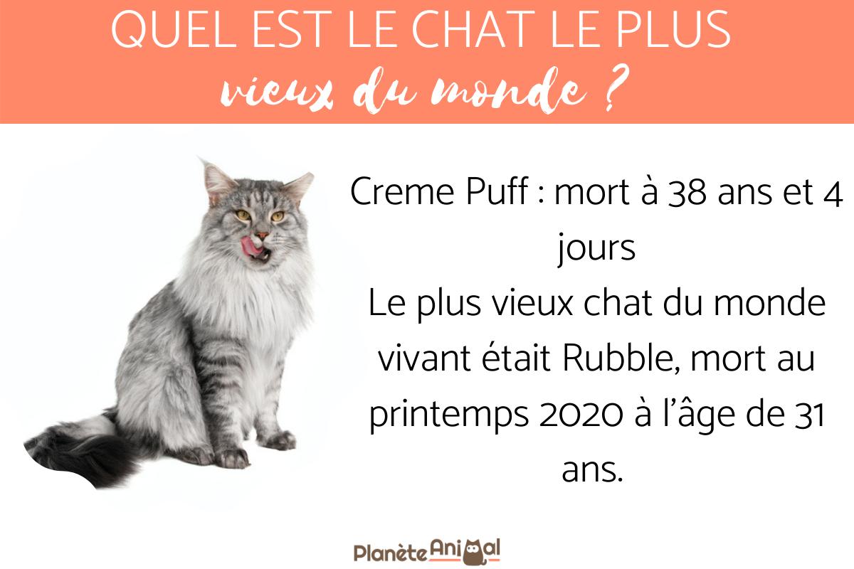 Quel est le plus vieux chat du monde ?