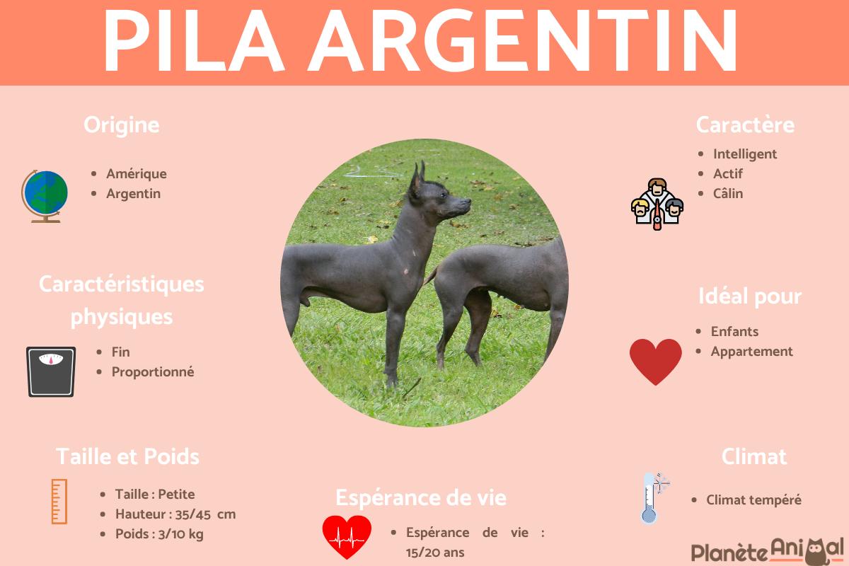 Pila argentin