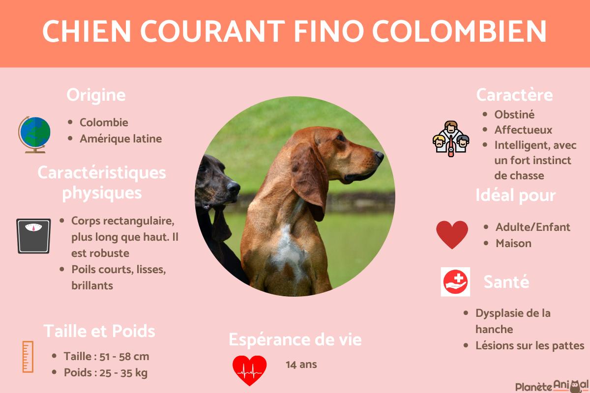 Le fino colombien