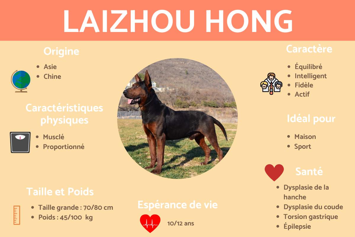 Laizhou hong