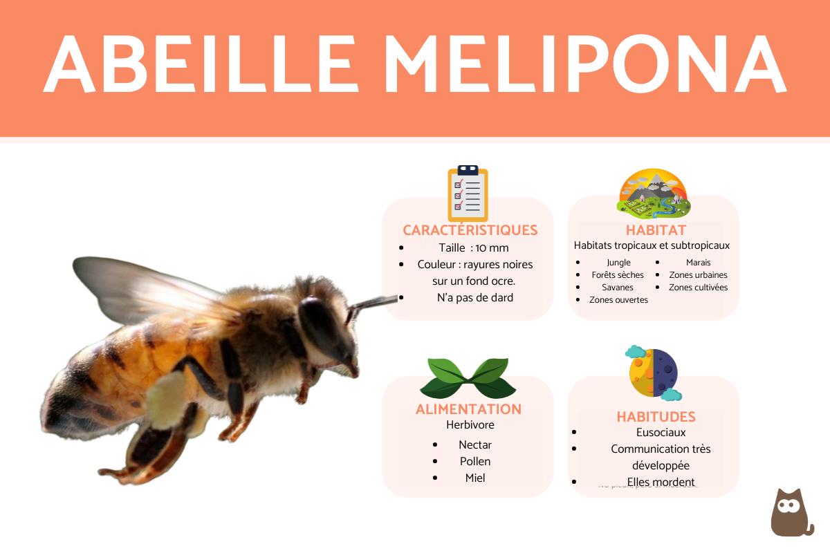 Melipona