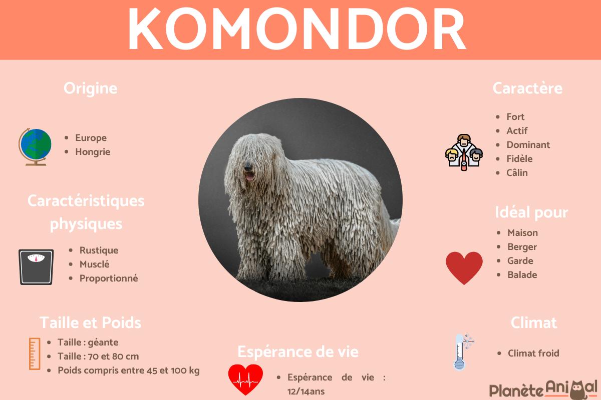 Komondor