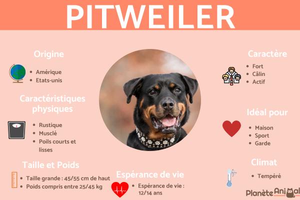Pitweiler