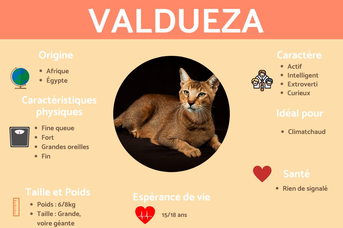 Chausie