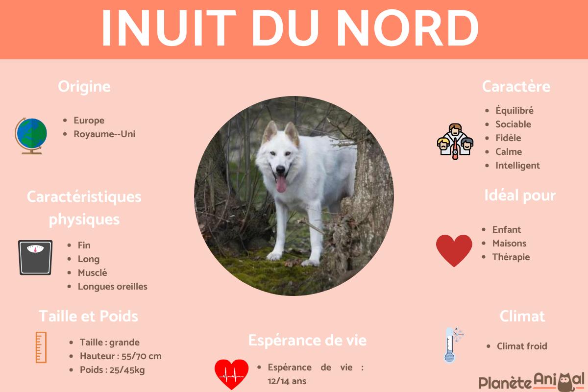 Inuit du nord