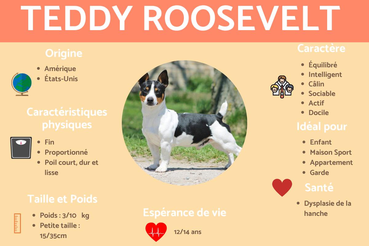 Teddy roosevelt terrier