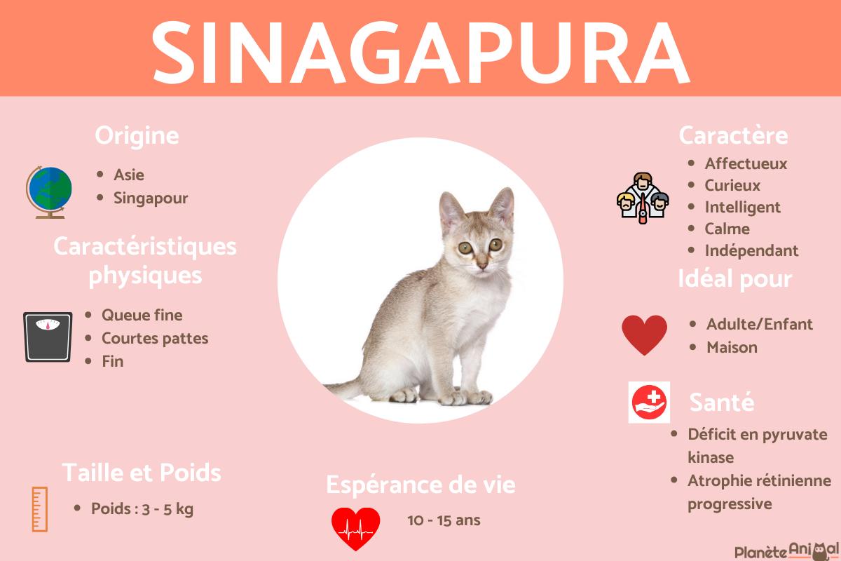 Singapura