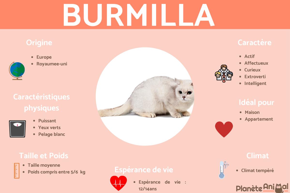 Burmilla