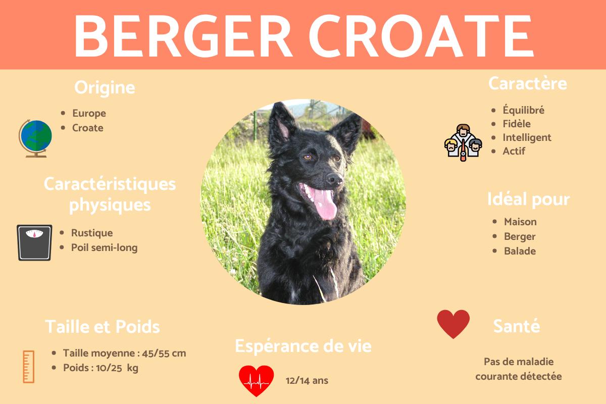 Berger croate