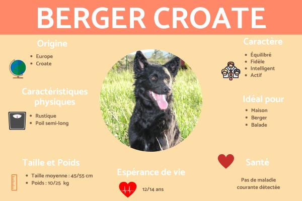 Berger croate