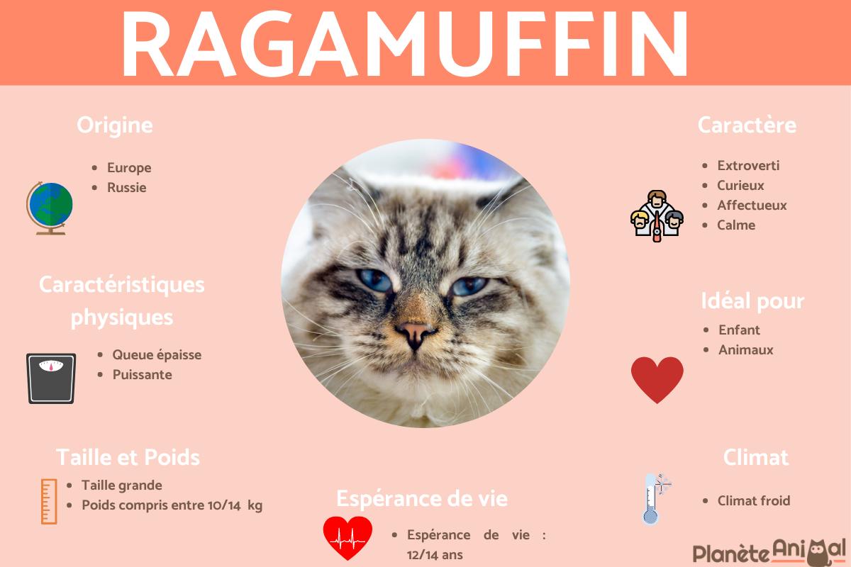 Ragamuffin