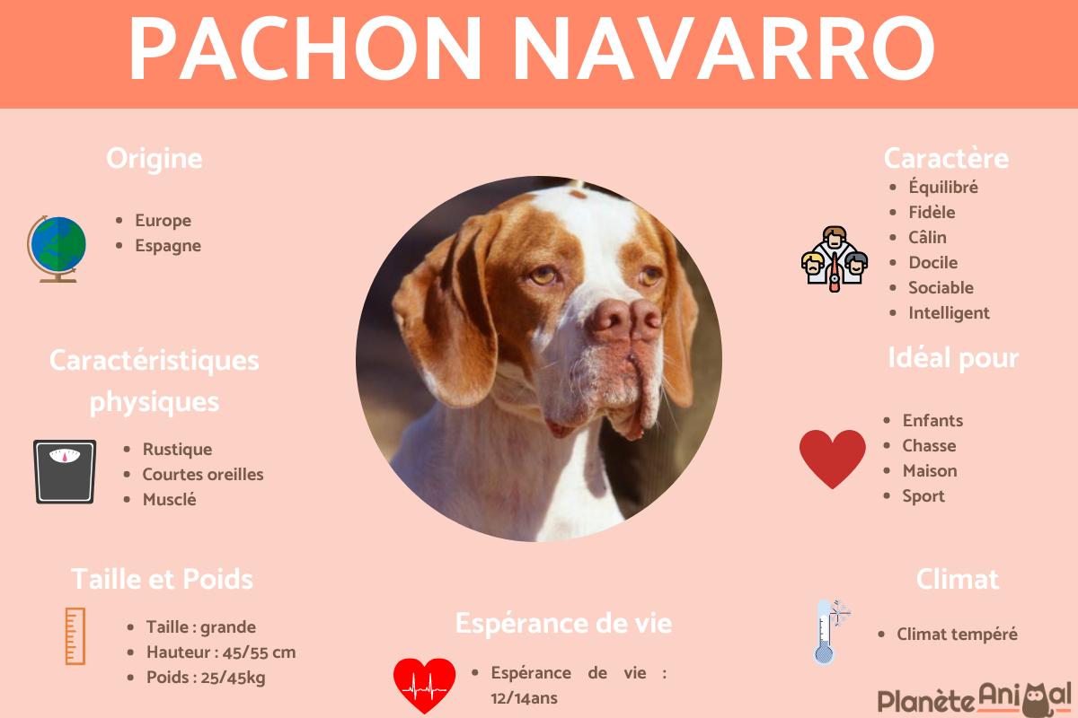 Pachon Navarro